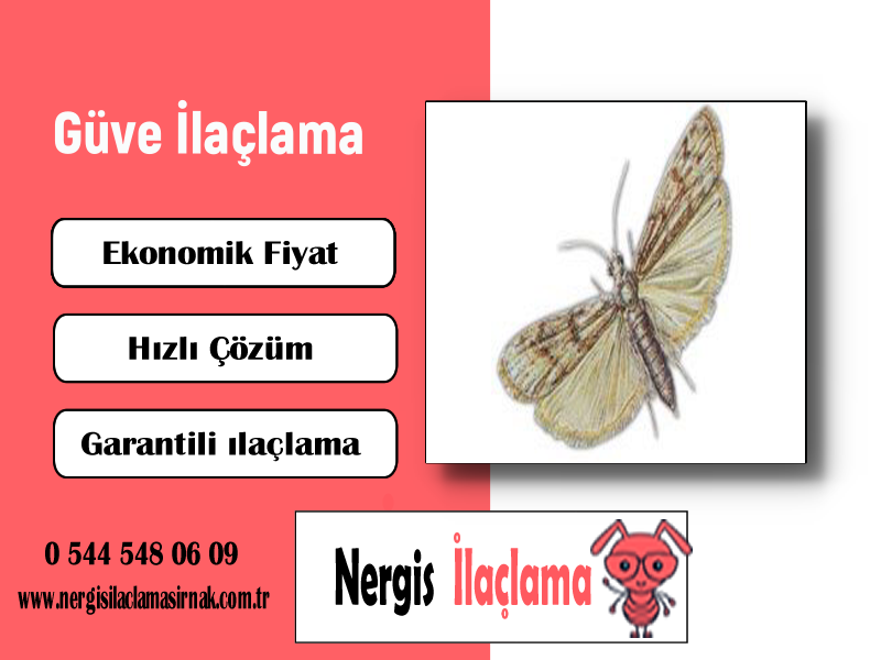 Güve İlaçlama