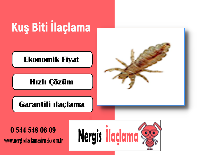 Kuş Biti İlaçlama