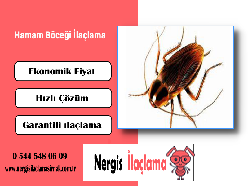 Hamam Böceği İlaçlama