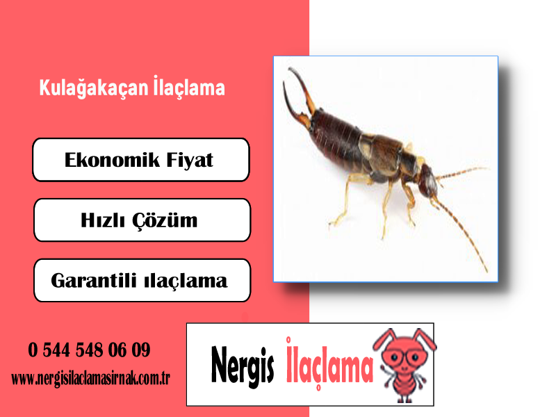 Kulağakaçan İlaçlama