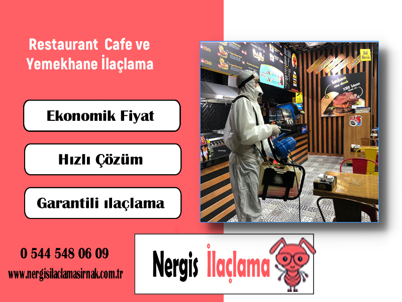 Restaurant İlaçlama