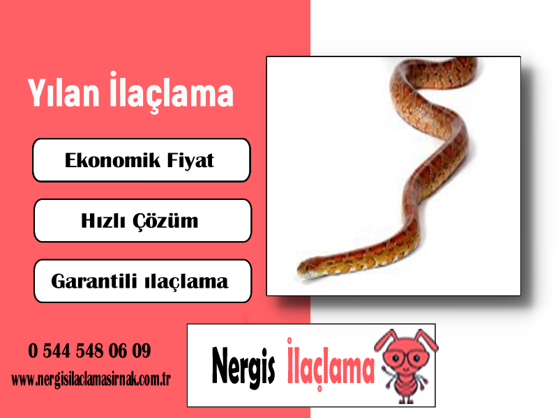Hizmet Galerisi