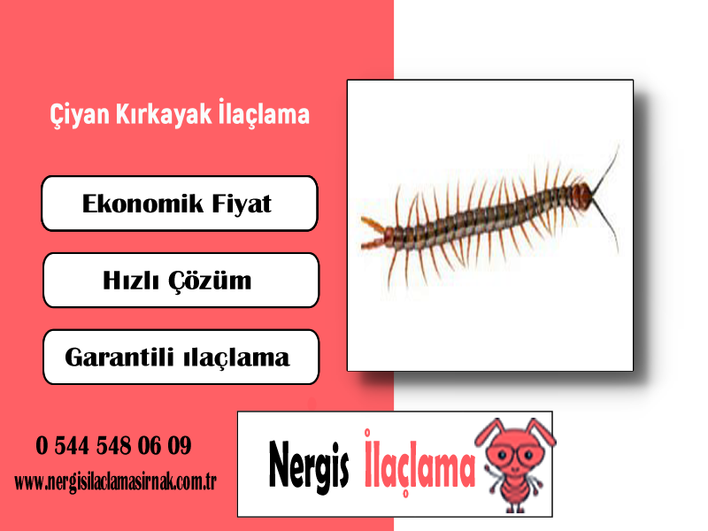 Hizmet Galerisi