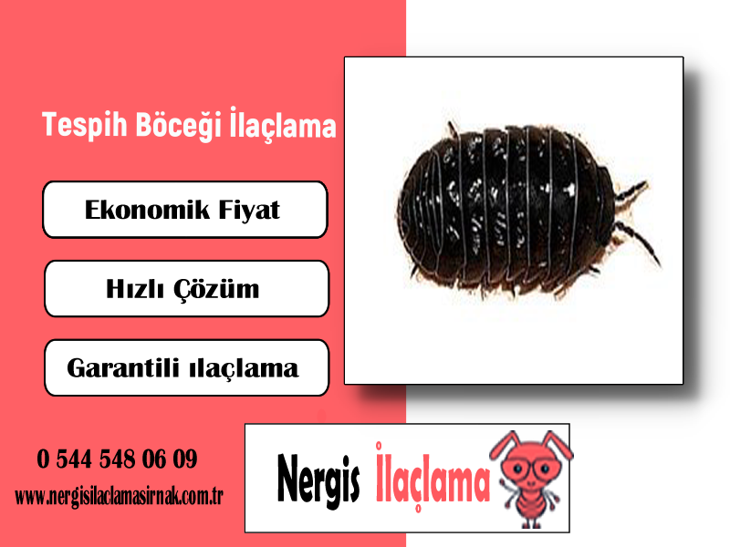 Tespih Böceği İlaçlama