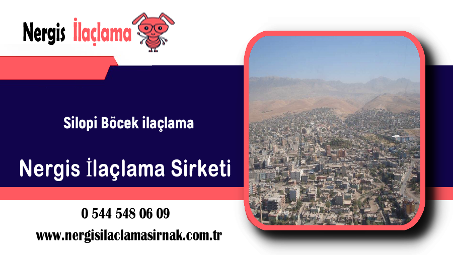 Hizmet Galerisi