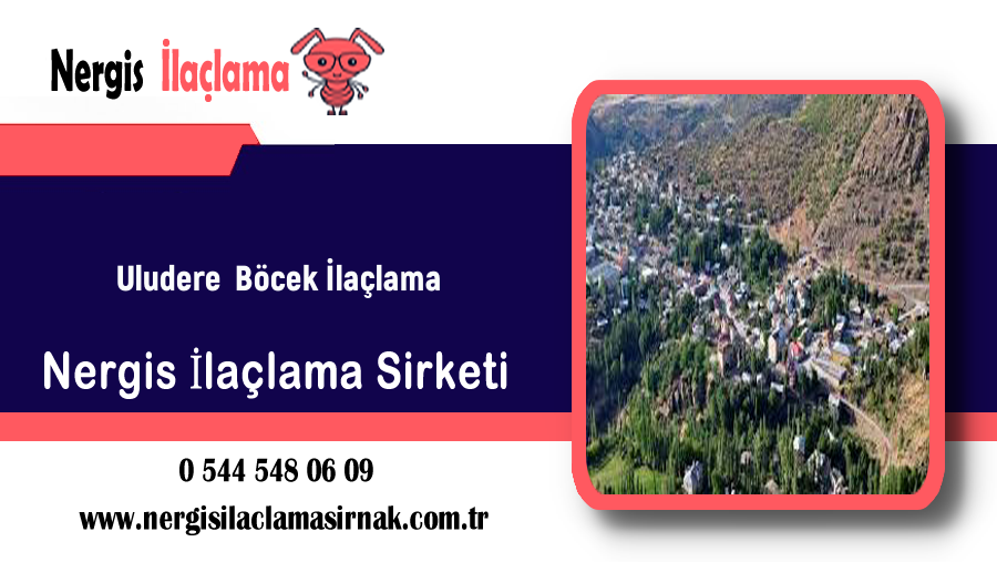Uludere Böcek İlaçlama