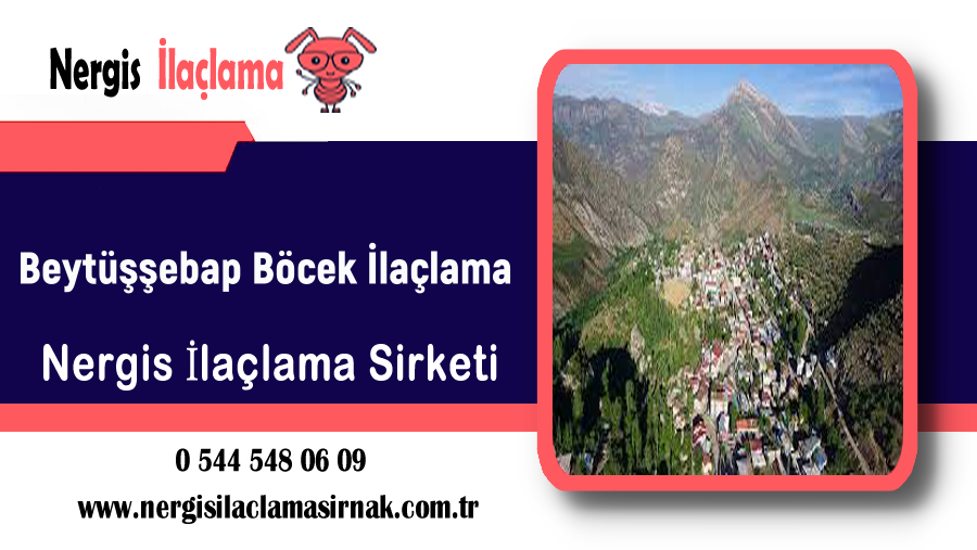 Beytüşşebap Böcek İlaçlama